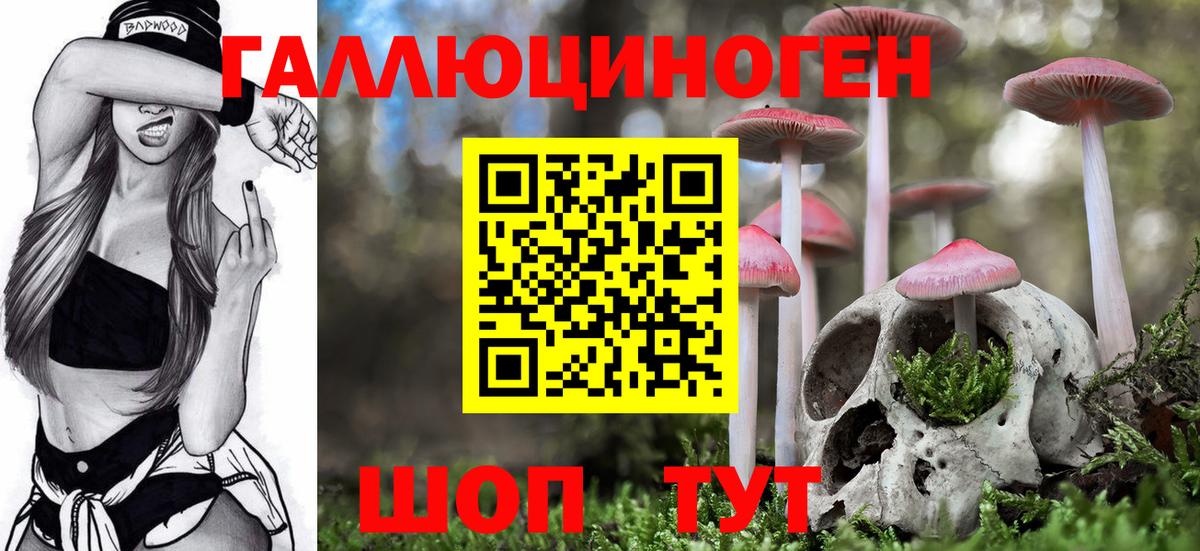 Псилоцибиновые грибы мухоморы Свободный