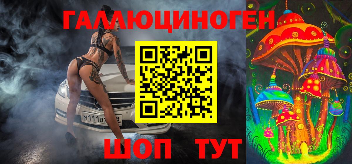 Псилоцибиновые грибы мицелий  Вход с VPN  Свободный  Псилоцибиновые грибы GOLDEN TEACHER 